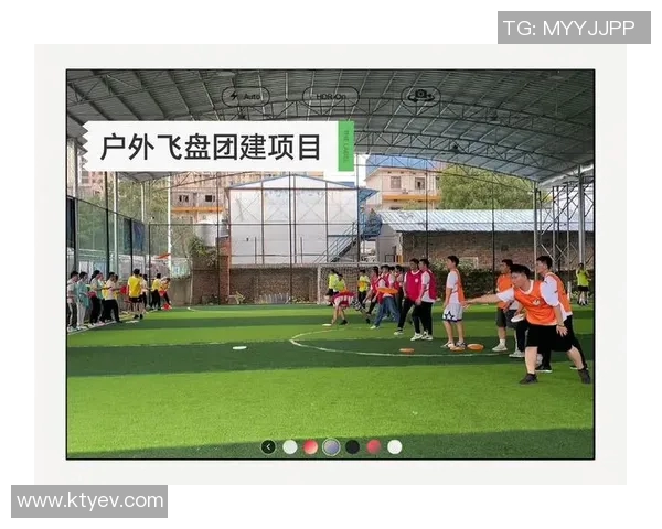 飞盘竞技的魅力：深入了解南京飞盘队的团队精神与协作之道