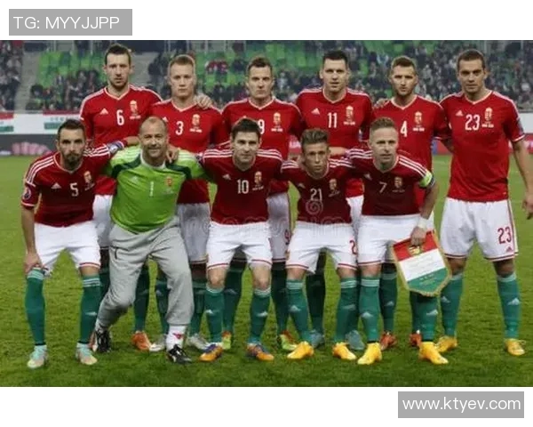 芬兰与意大利足球历史交锋记录分析与战绩回顾 芬兰与意大利足球历史交锋记录分析与战绩回顾